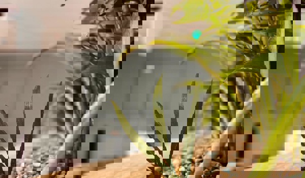 Whatsapp Image 2025 10 22 At 12.45.53 (1)